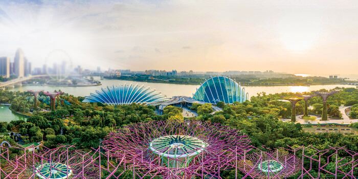 Gardens by the Bay image 2