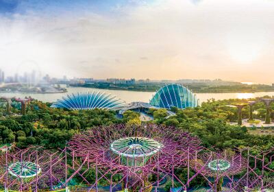 Gardens by the Bay