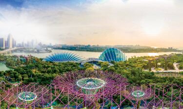 Gardens by the Bay