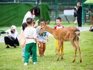 창사(장사) 스제즈촹(세계지창)