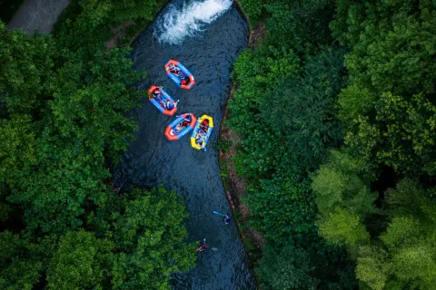 Maoshan Forest World