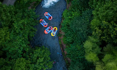 Maoshan Forest World