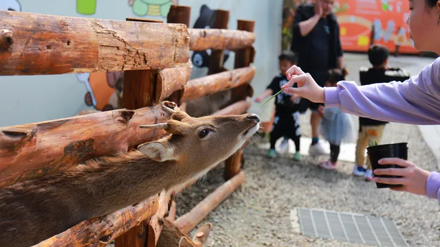 鹿芝谷