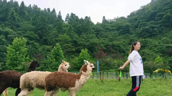 南天湖萌寵樂園