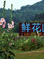 Valley of Flowers