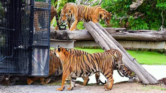 曼谷野生動物世界