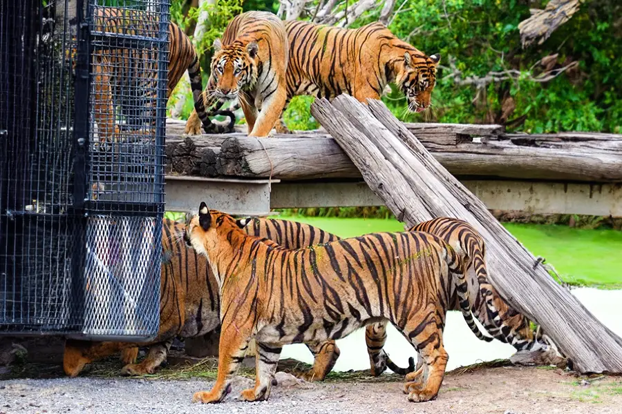 曼谷野生動物世界