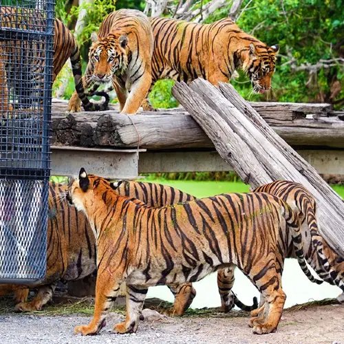 Safari World Bangkok