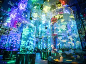JiNan Sunac Ocean Park