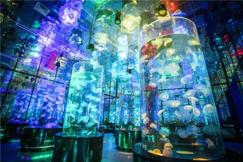 JiNan Sunac Ocean Park