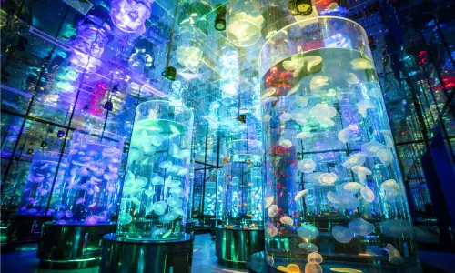 JiNan Sunac Ocean Park