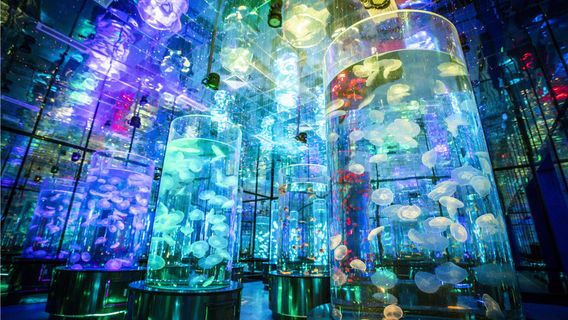 JiNan Sunac Ocean Park