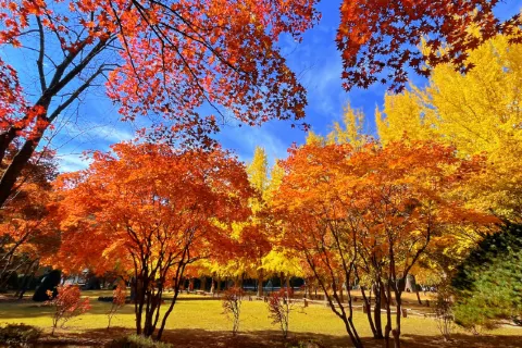 Nami Island