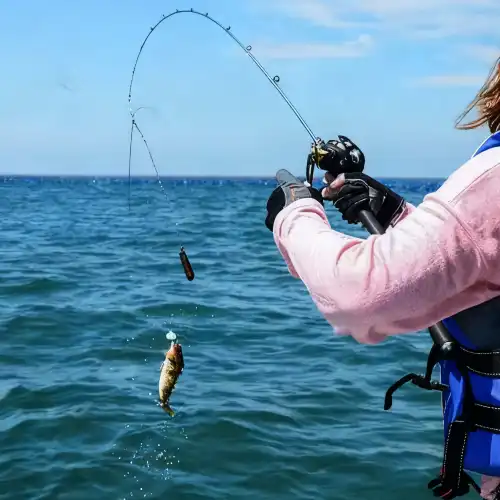 Popular Activities in Dalian