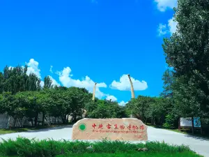Zhongdegusheng Museum