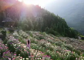 布尼梯田加烏瀑布景區