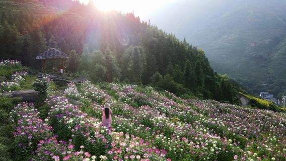 Buni Titian Jia Wu Waterfall Sceneic Area