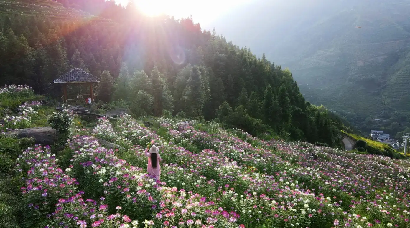 Hotels near Buni Titian Jia Wu Waterfall Sceneic Area
