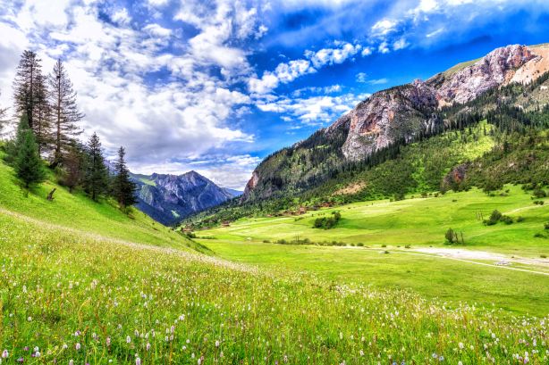 Riwoche County