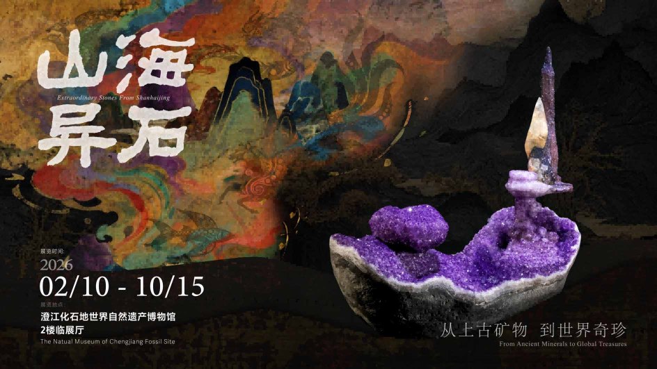 Strange Stones from Mountains and Seas: From Ancient Minerals to World Wonders | Chengjiang Fossil Land Natural Museum