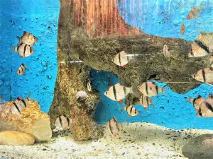 Manila Ocean Park