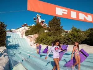 Disney's Blizzard Beach Water Park