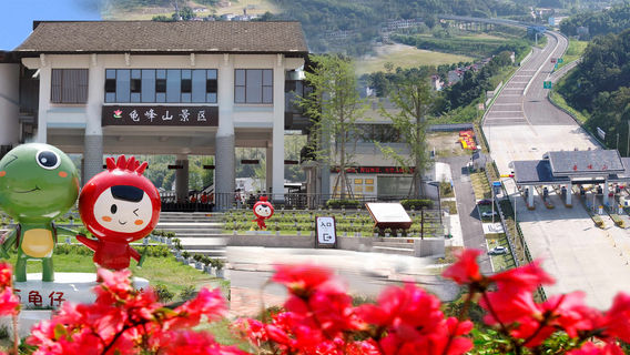 ภูเขาเต่าฟง