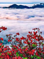 Yangmingshan National Forest Park