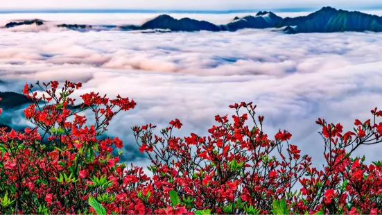 Yangmingshan National Forest Park