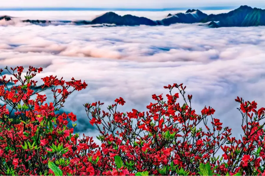 Yangmingshan National Forest Park