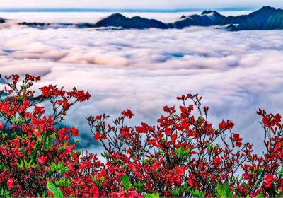 Yangmingshan National Forest Park