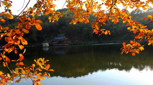 Lushan National Forest Park