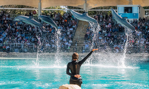 Sea World