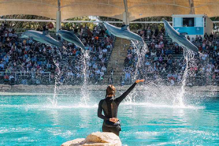 Gold Coast Sea World