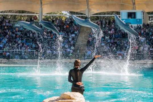 Gold Coast Sea World