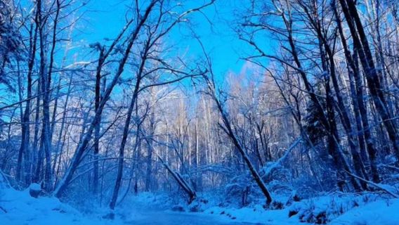 Changbai Mountain Xiaosha River Rafting