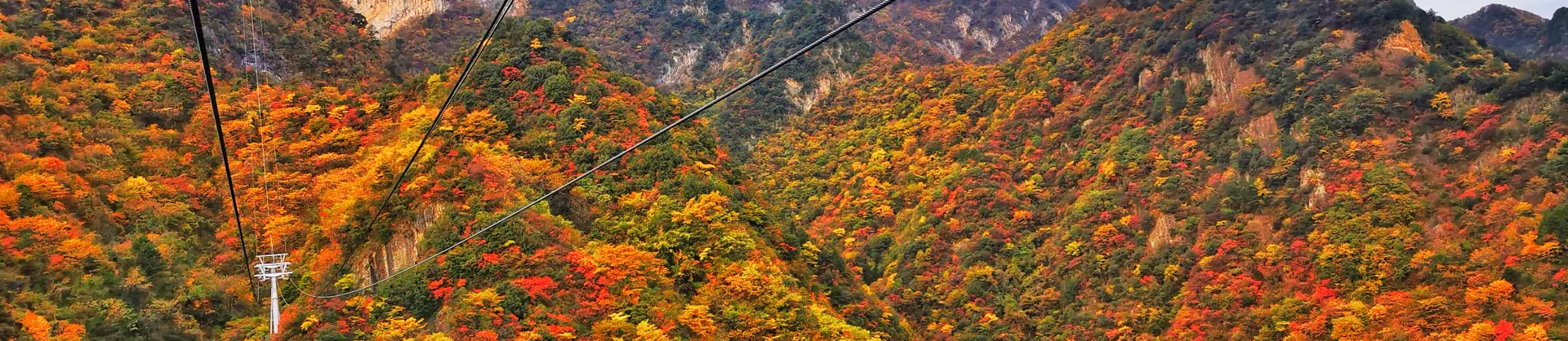 Attrazioni per la visione autunnale