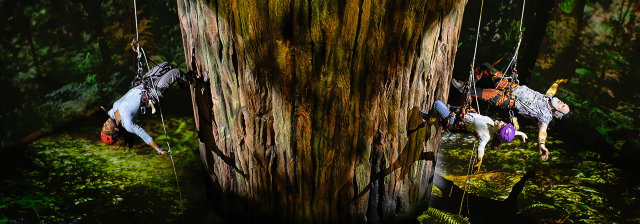 Redwood the Musical | New York
