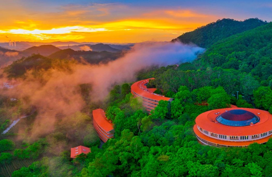 Yan-Nan-Fei Tea Plantation Resort