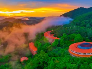 Yearning Tea Plantation Tourist Attraction