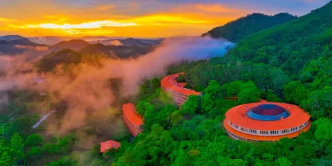 雁南飛茶田景區門票+梅州橋溪古韻票成人