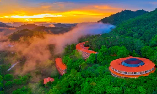 Yearning Tea Plantation Tourist Attraction