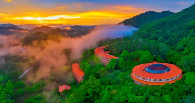 鄰近雁南飛茶田景區的酒店