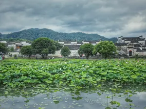 서체(시디춘)