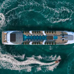 DOLPHIN HALONG CRUISE