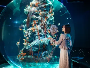 神戶都市型水族館 AQUARIUM×ART átoa