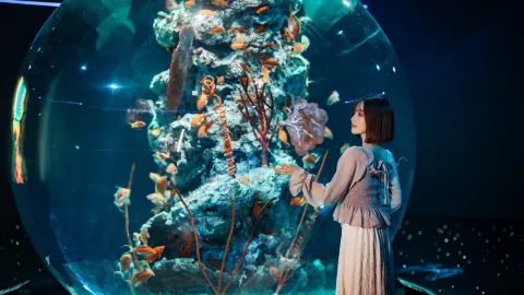 AQUARIUM×ART átoa attraction in Kobe