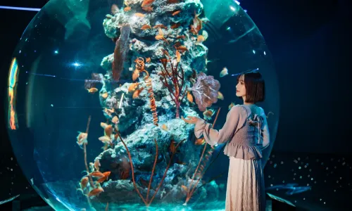 AQUARIUM×ART átoa