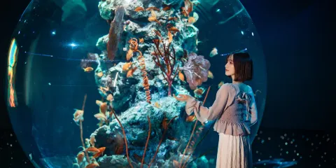 神戶都市型水族館AQUARIUM×ART átoa