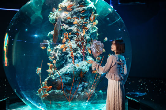 AQUARIUM×ART átoa